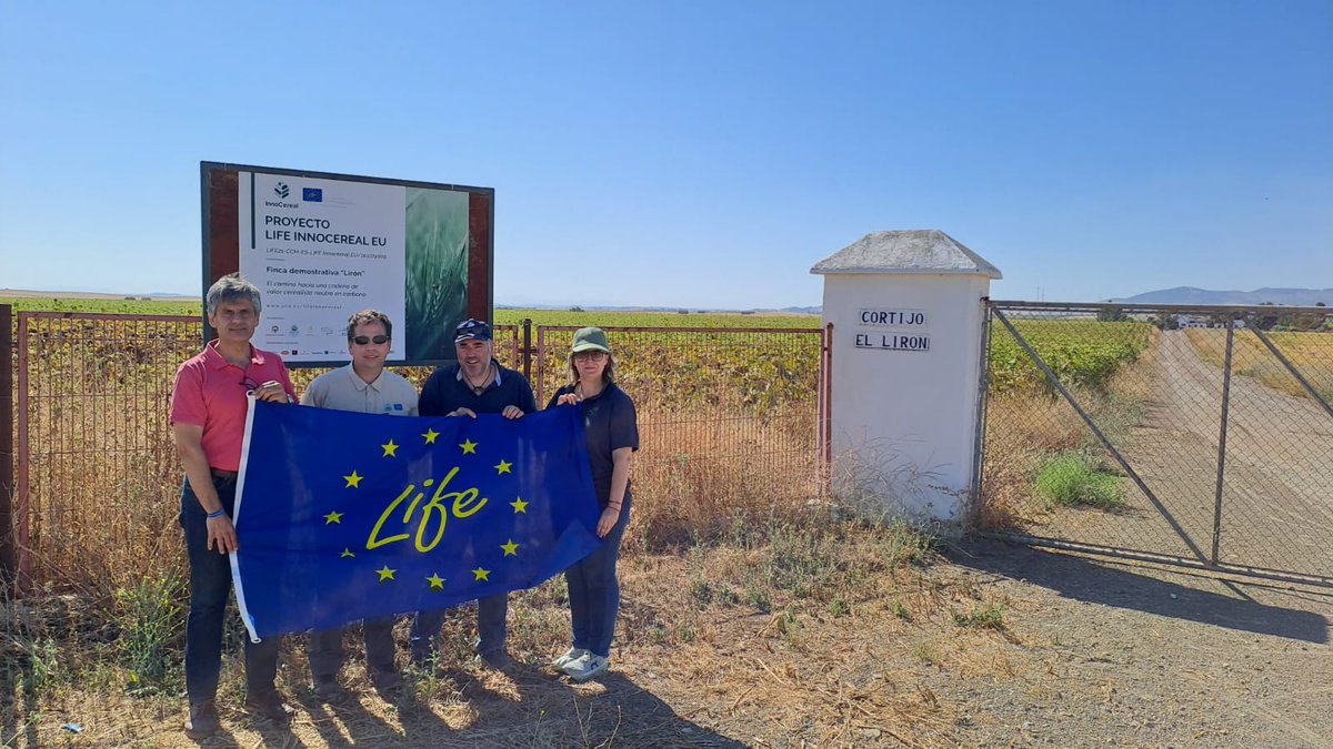 Life_Innocereal's tweet image. 📸Visita a la finca "El Lirón", de la red de fincas demostrativas de #LIFEInnocerealEU, tras la cosecha del trigo duro bajo Buenas Prácticas de Manejo
Monitoreo de las parcelas junto a miembros de la @AEACSV y @ETSIAMCordoba junto a representantes de @Agrocolor
@LIFEprogramme