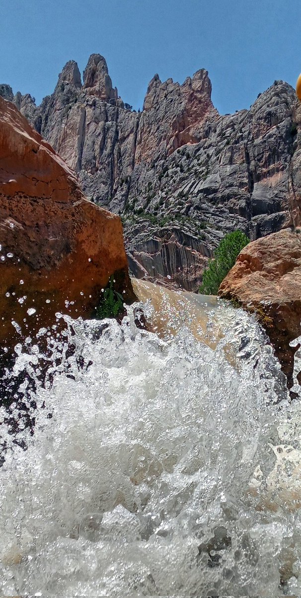 Pepino Acn tweet media