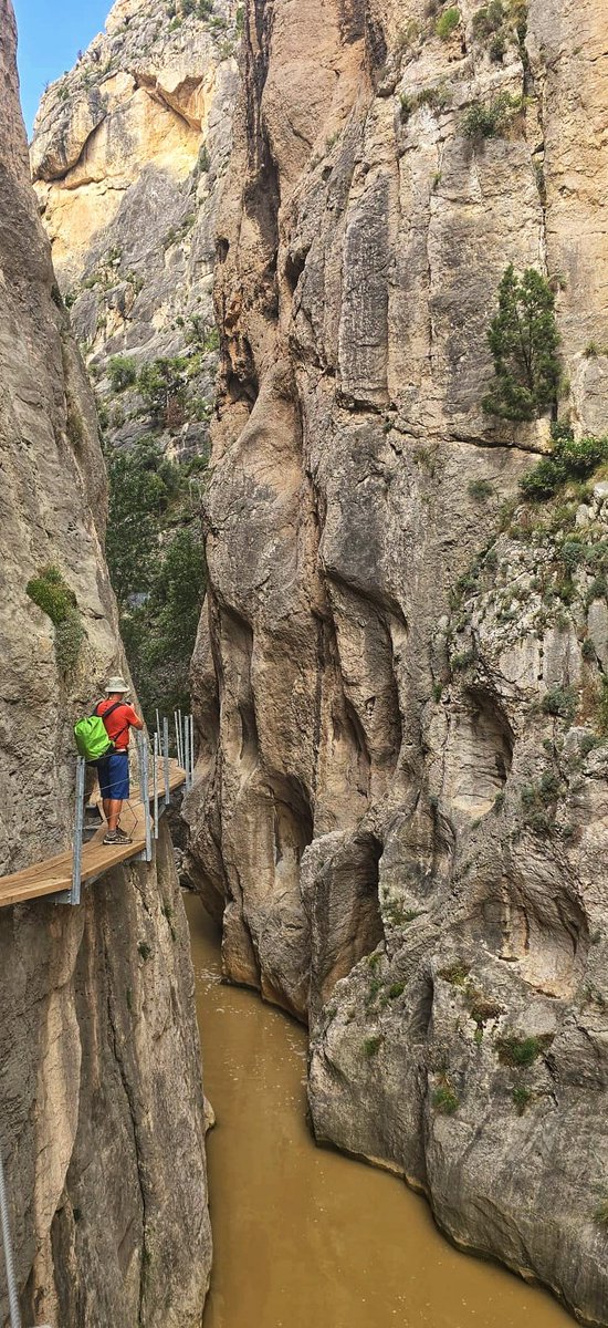 Pepino Acn tweet media