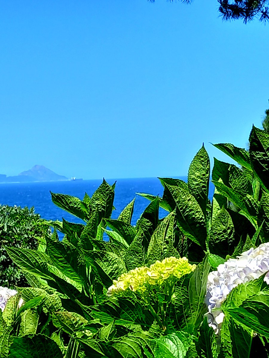 Llegará un día en que todos
seamos recuerdos
Podemos escoger ser
un buen recuerdo
o un mal recuerdo
Qué quieran recordarnos
o quieran olvidarnos
Me encanta cruzarme
con gente bonita
y sonreír

Aprovechar el día
pocas cosas más hermosas
que un viernes de junio