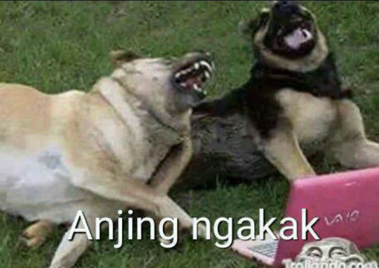 Beelzeebob tweet media