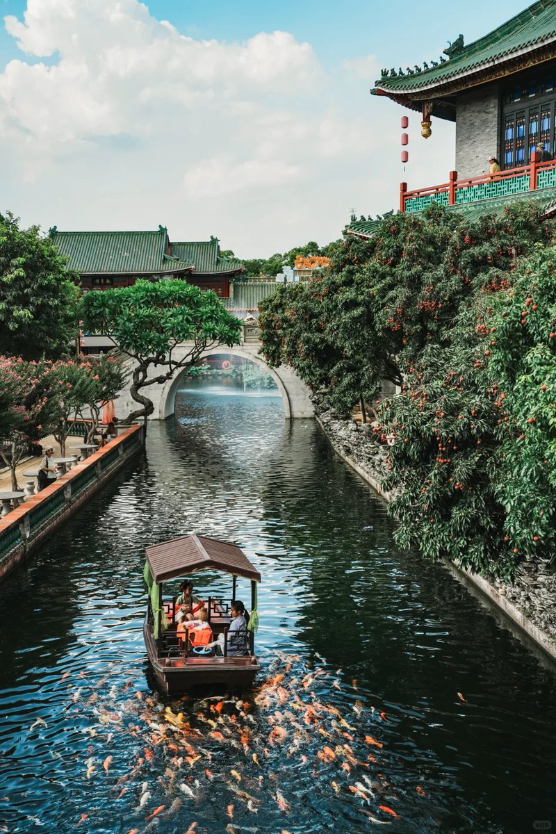 Red #lychees bend the branches, #goldfish dance in rippling gold—#BaomoGarden is pure #summer magic. 🍃🍒 🐠
Snap a shot under the trees or feed the fish by the lake. This one’s made for your camera roll. 🎞️📍
📷 背着相机去行走