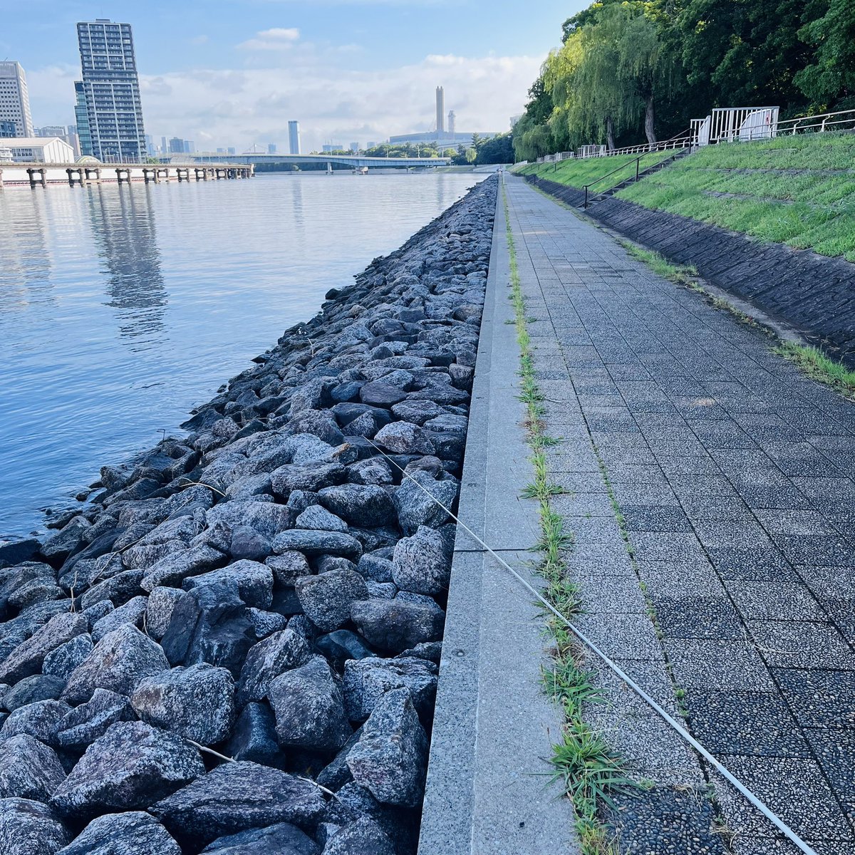 fukuda_tkc's tweet image. 【ハンターカブで釣り】昼間メチャ暑いので05:00の満潮上げ止まりから下げ始めだけ釣り/久しぶりにリョービのJTスペシャル4-4.5mで前打ちの釣り＼(^o^)／
#釣男レインボー　#黄カブ　#ハンターカブ　#ct125 #カブで釣り　#ヘチ釣り　#クロダイ　#東京湾奥　#RYOBI