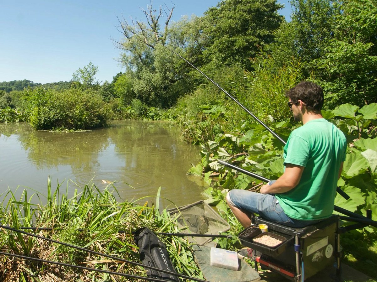 AnglingTrust's tweet image. Protect fish and fisheries during hot weather!
With temperatures once again set to soar over many parts of England and Wales, clubs, fisheries and individual anglers can find essential advice in our updated blog explaining how water temperatures affect fish and fishing.
Water…