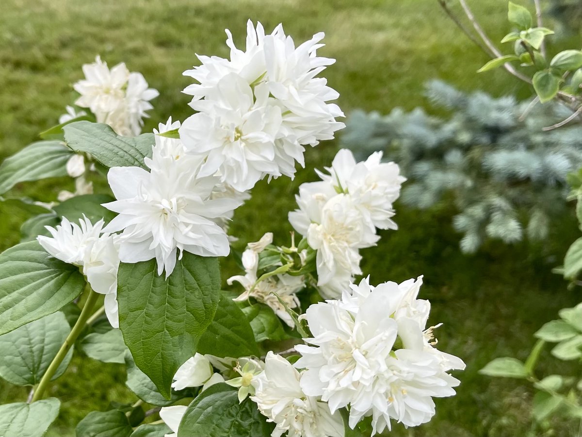 Ian Black tweet media