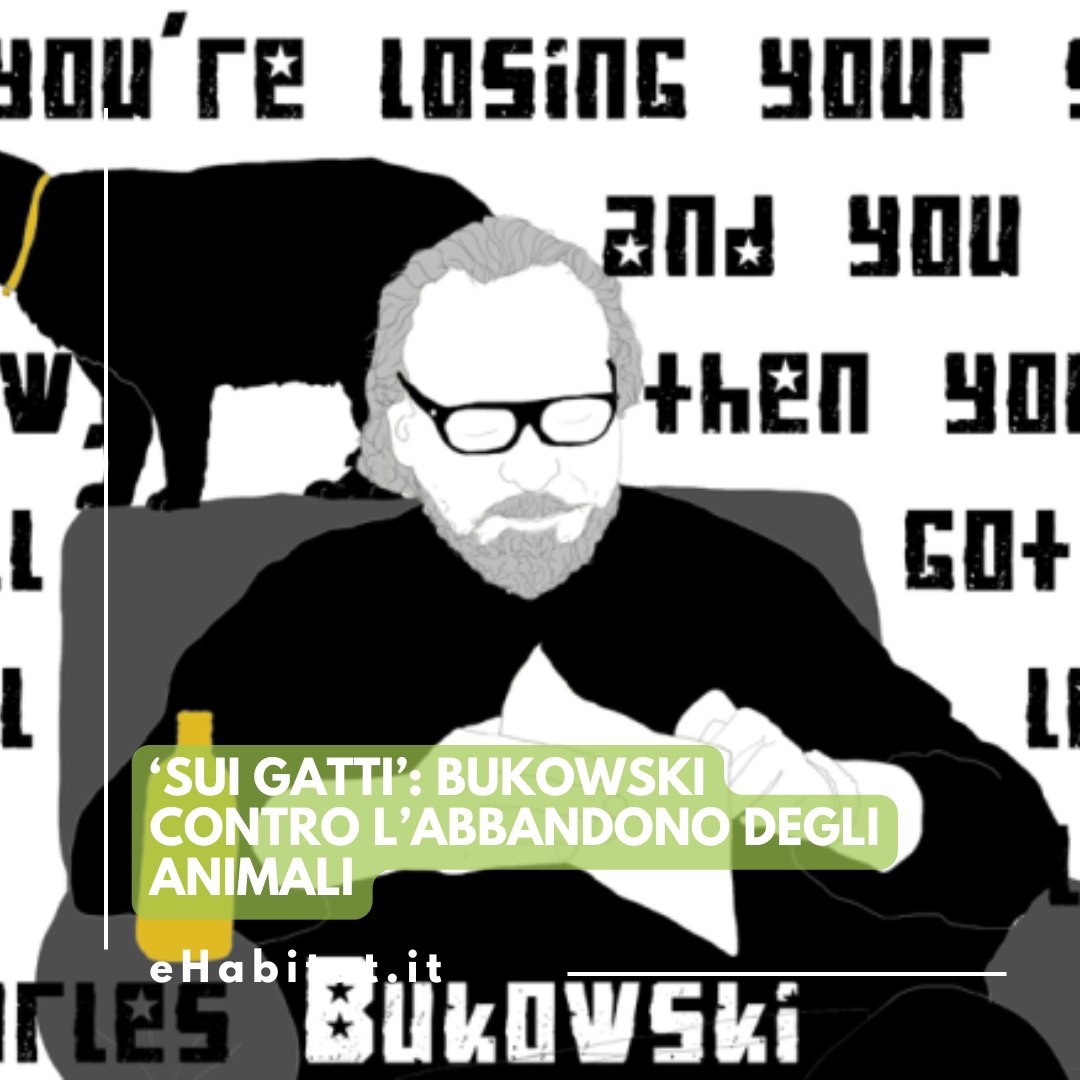 😼📚 ‘Sui gatti’: #Bukowski contro l’#abbandono degli #animali.

🐈‍⬛ Leggi l'articolo:

ehabitat.it/2016/08/07/sui…
.
.
.
#CharlesBukowski #SuiGatti #AbbandonoAnimali #Estate2025 #LettureConsigliate