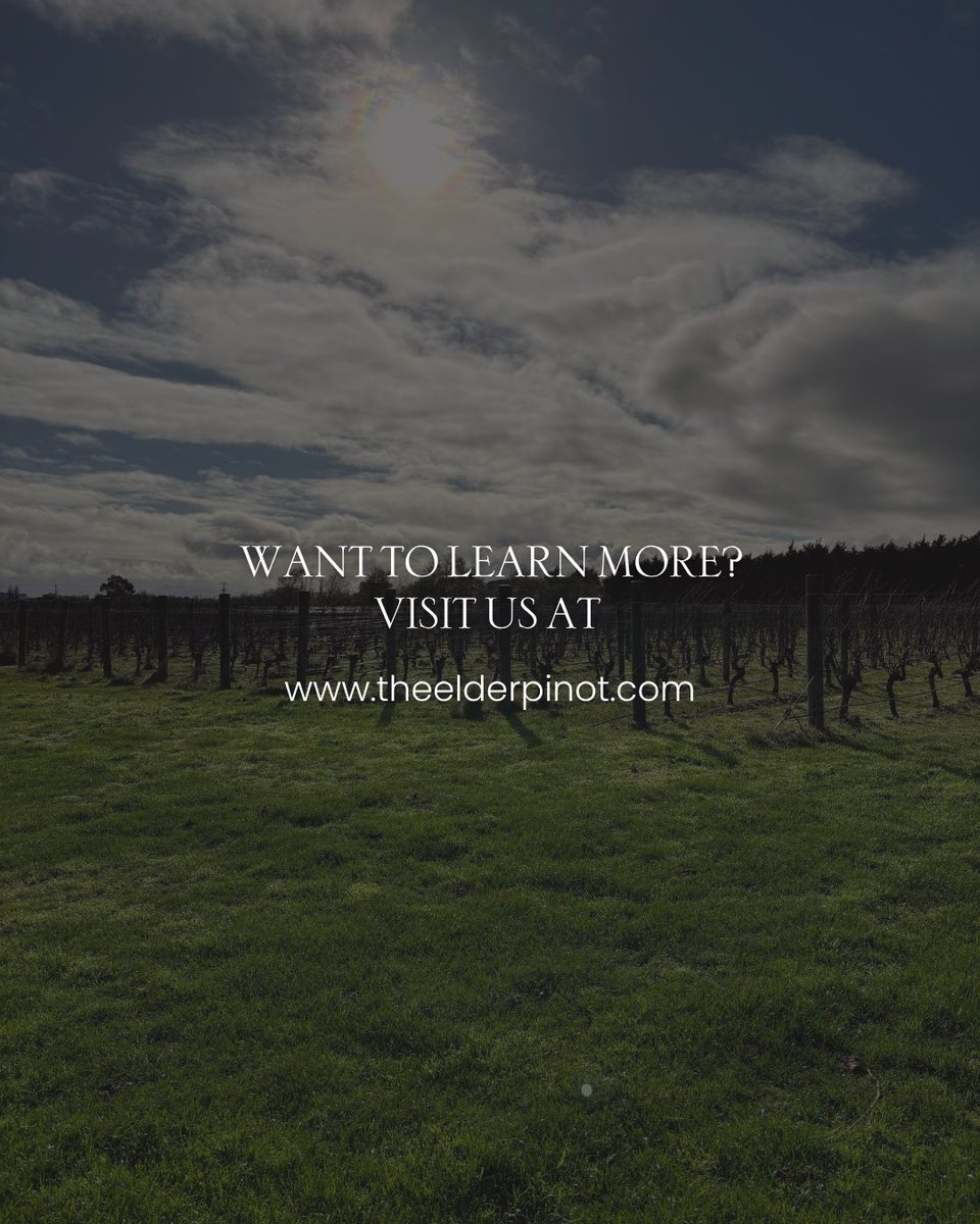 Winter might be quiet, but at Elder Pinot, it’s when greatness begins. From careful pruning to nature’s rest, every moment prepares our vines for exceptional wines.

Discover the beauty behind the bottle and get access to our exclusive wine list.

#theelderpinot #wine #winelover