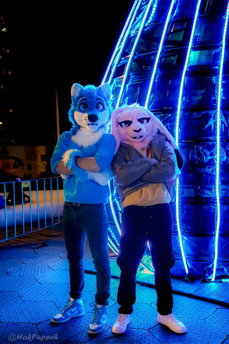 Aren't we fabulous 💅
<a href="/WolfWintry/">Wintry ❄️ 🔜 Aurawra</a> 

#FursuitFriday #Fursuit #furry