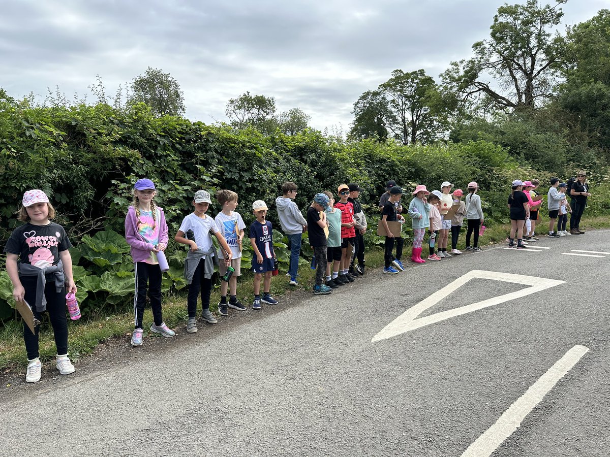 Overstone Primary School tweet media