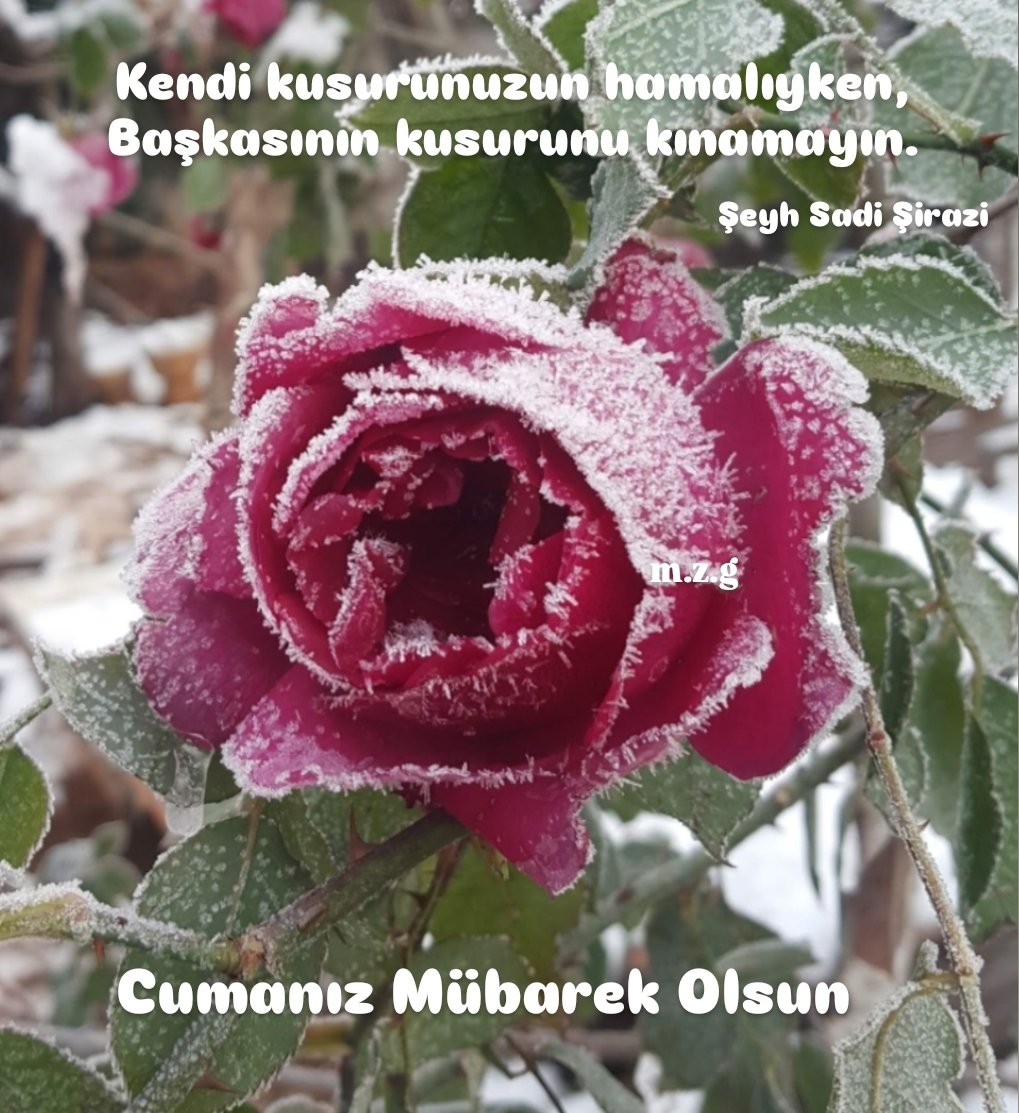 Kendi kusurunuzun hamalıyken, Başkasının kusurunu kınamayın.
                                (Şeyh Şadi Şirazi)

Hayırlı Bereketli Cumalar