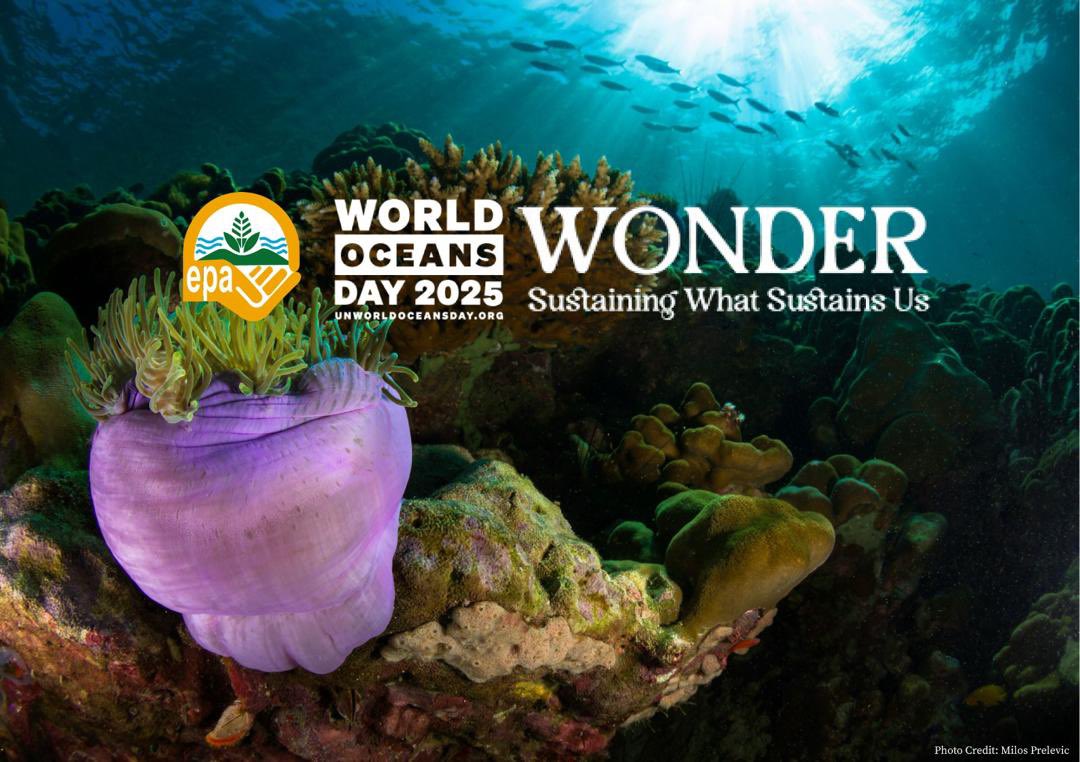 EPA_Ghana's tweet image. World Oceans Day!!! Together, we can create a sustainable future!
#PlastickillsOceans
#WorldOceansDay 
#EPAGhana