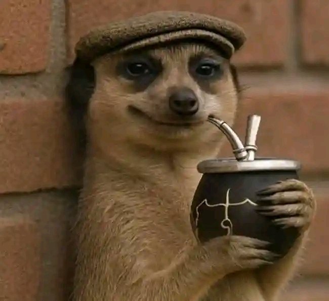 Cristiano Ronaldo: Winning Euros is equivalent to winning a World Cup”.

Lamine Yamal: