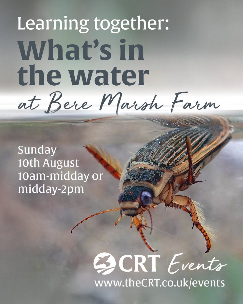 CRTWildlife's tweet photo. It’s #NationalInsectWeek with @RoyEntSoc. We’re encouraging youngsters to get involved this summer and find out what insects they can find in the water! Join us on Saturday 10th August for a hands-on day of discovery in nature! Book: https://t.co/Vd94KoLhuW #whatsonindorset https://t.co/eFr7FqOxzv