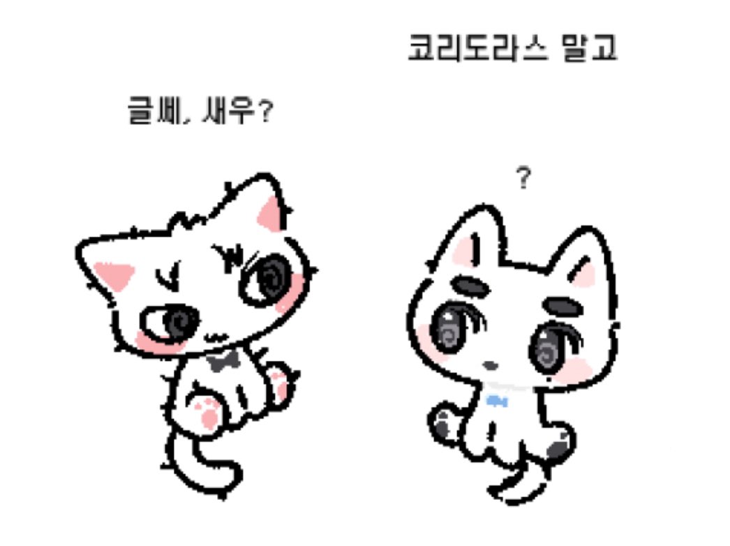 fishwacat's tweet photo. #BOYNEXTDOOR 보이넥스트도어 인형 
삐넥도 재고판매 ฅ 

📆 06.27 22:00 ~ 07.04 23:59

꼭 입금 전 폼에 작성된 공지를 읽고 참여 부탁드립니다! 

🔗 https://t.co/NjaEc73b15 https://t.co/zS2vEo0MX3