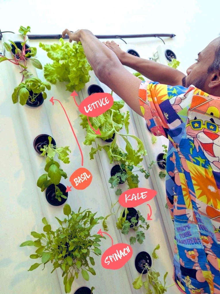 It’s the weekend and Daddy Greens got just once advice for your kids. 

Growing greens is pure vibes. ✨