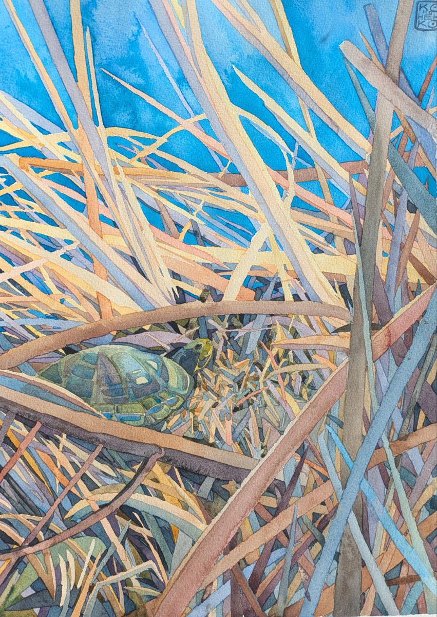 Найкращий подарунок для художниці в її день народження - репост робіт та донат на підтримку ЗСУ 💛 буду дуже вдячна за поширення