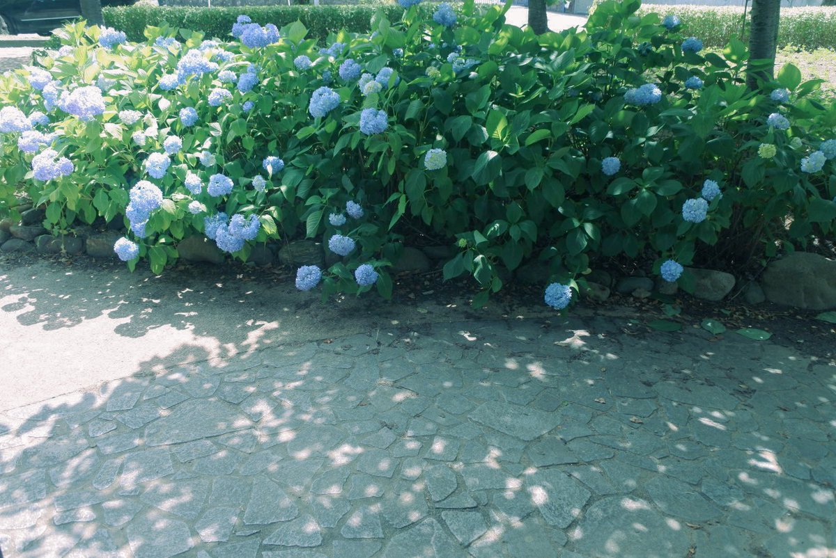 _fhch's tweet image. 海底、月明かり
