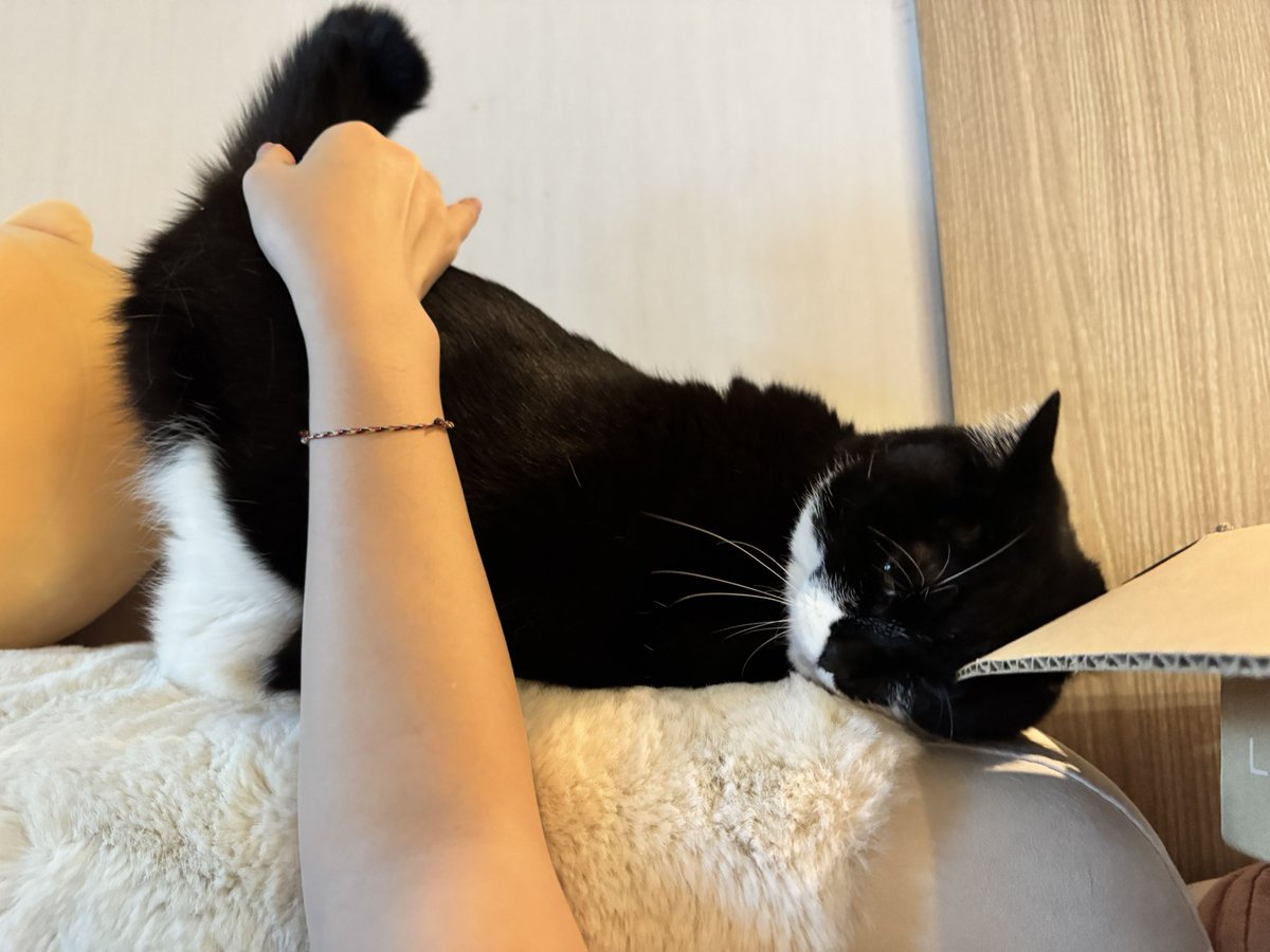 언니가 와서 행복한 민지 짱