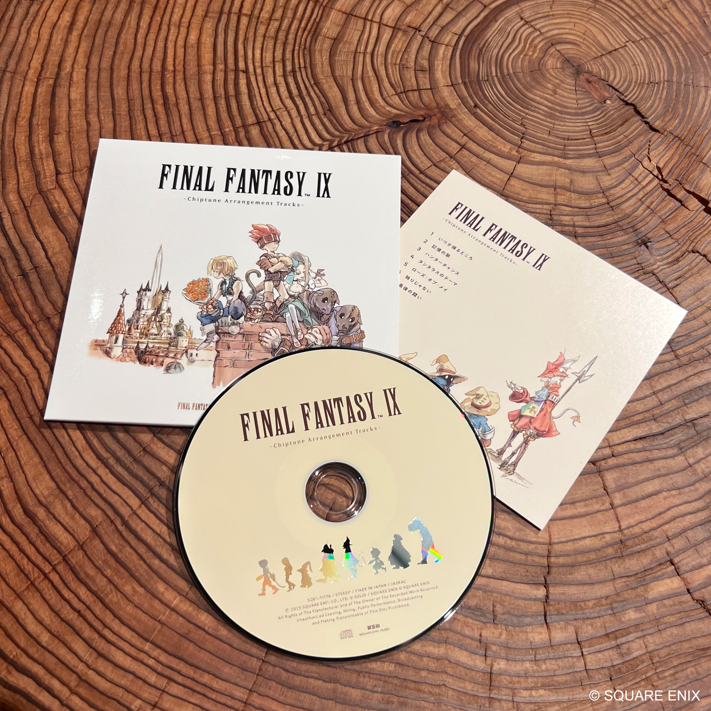 春先取りの 未開封】 休息 スカーフ 別れの物語展 IX FANTASY