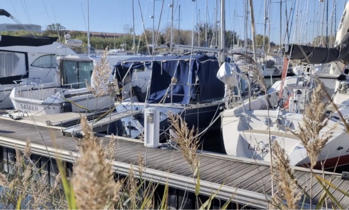 ecom_news's tweet photo. 🌊#PyreneesOrientales : La @cciperpignan, la Région @Occitanie et la Ville de Sainte-Marie-la-Mer organisent la troisième édition du #BlueTechShow, les 25 et 26 novembre 2025. Cet événement, qui s'impose comme le rendez-vous incontournable de l'économie bleue dans le sud de la France, promet d'être à la hauteur des attentes avec une participation déjà confirmée de près de 40 entreprises. Reportage vidéo https://t.co/Hk8isRmsxW