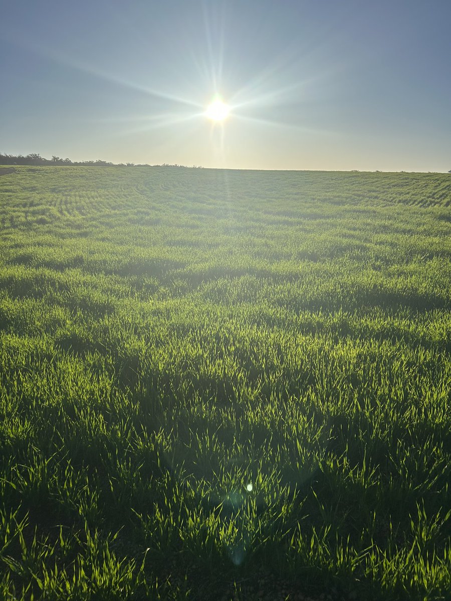 I fix shit. its what i do ! tweet media