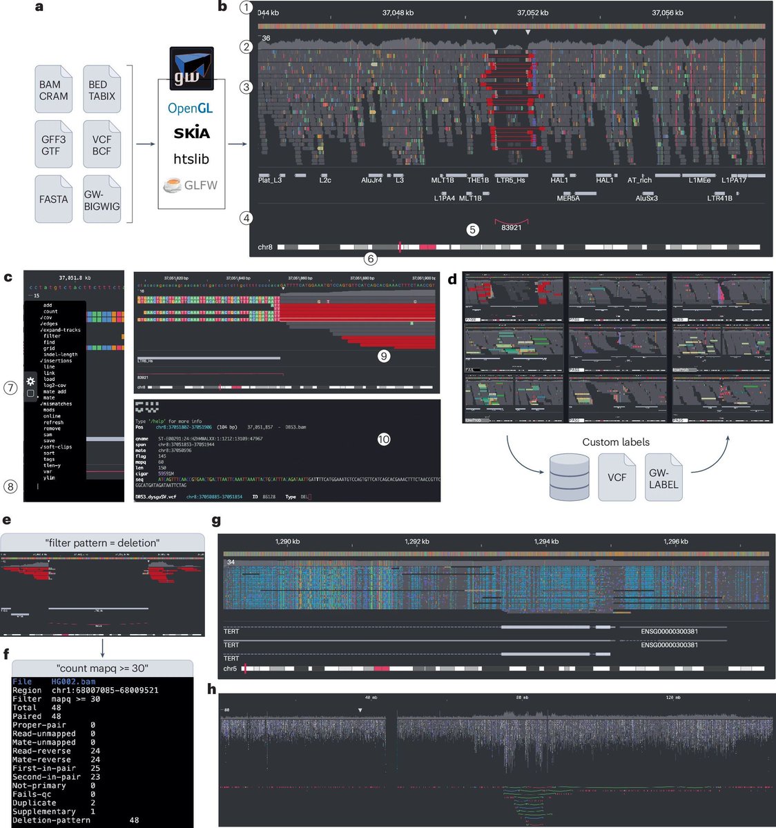 Javier Santoyo (@jsantoyo) on Twitter photo GW: ultra-fast chromosome-scale visualization of genomics data. #GenomeVisualization #Bioinformatics #Genomics <a href="/naturemethods/">Nature Methods</a>
nature.com/articles/s4159… GW: ultra-fast chromosome-scale visualization of genomics data. #GenomeVisualization #Bioinformatics #Genomics <a href="/naturemethods/">Nature Methods</a>
nature.com/articles/s4159…