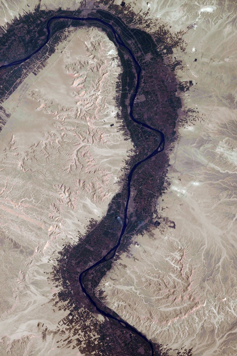 The Nile River — as seen from the ISS 

📷 <a href="/astro_Pettit/">Don Pettit</a>