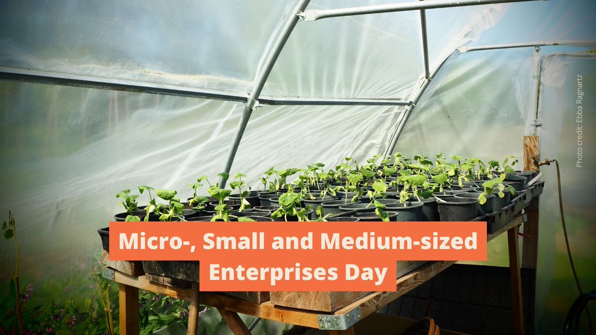 SIANIAgri's tweet image. Today is Micro-, Small and Medium-sized Enterprises Day! 🧑🌾
With this year's theme, "Enhancing the role of MSMEs as drivers of sustainable growth and innovation", let's spotlight SIANI's ASAPP initiative: buff.ly/Qr6Z3Py
#MSMEDay #ASAPP #MSME
