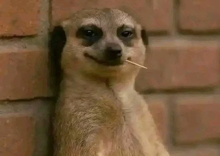 Hii kitu ilitoka wapi wadau? 🤣