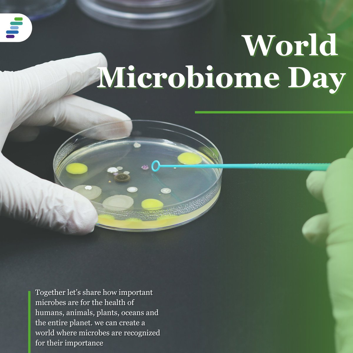 🌿 World Microbiome Day: Exploring Our Invisible Allies
Microbiomes play a vital role in human and environmental health. Join us in raising awareness of this hidden world and its significance for our future.
#WorldMicrobiomeDay #MicrobiomeAwareness #NordicBiosite