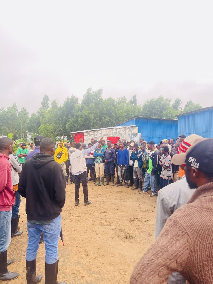 Ruvusha_Israel's tweet image. The demand for Hass avocados has encouraged sustainable farming practices, including water management and soil protection.