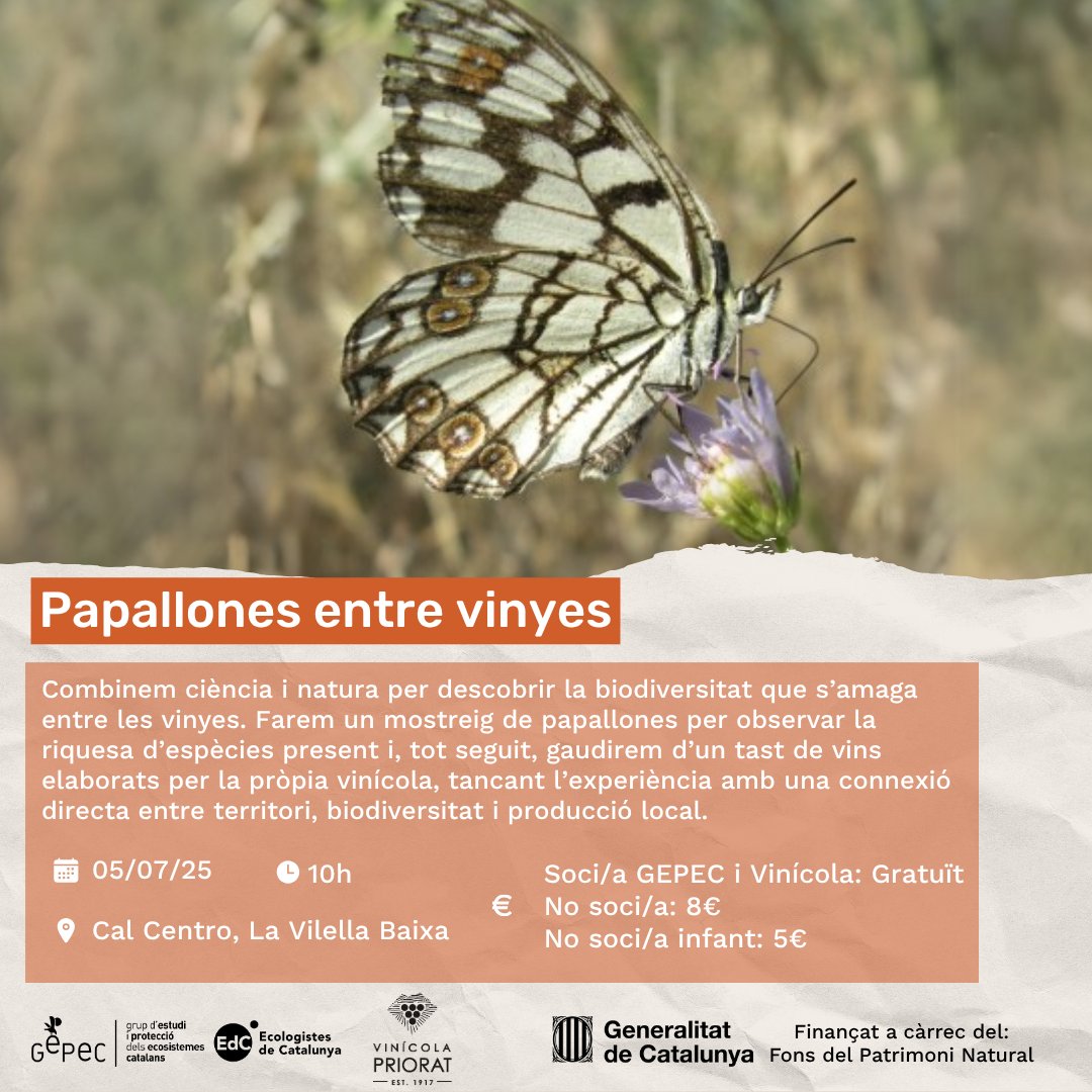 Descobrim la biodiversitat i gaudim del vi local a la Vilella Baixa🦋🍷

Farem un mostreig de papallones per observar la riquesa d’espècies presents. Al finalitzarem farem un tast de vins elaborats per la pròpia vinícola.
@transicioecologica #AjutsMap

🔗gepec.cat/esdeveniments/…