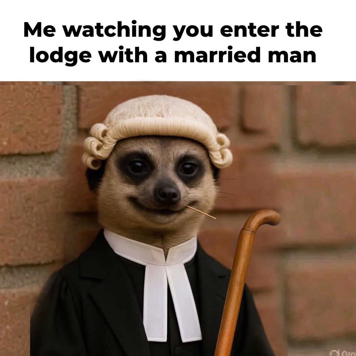 zedcreator's tweet image. 