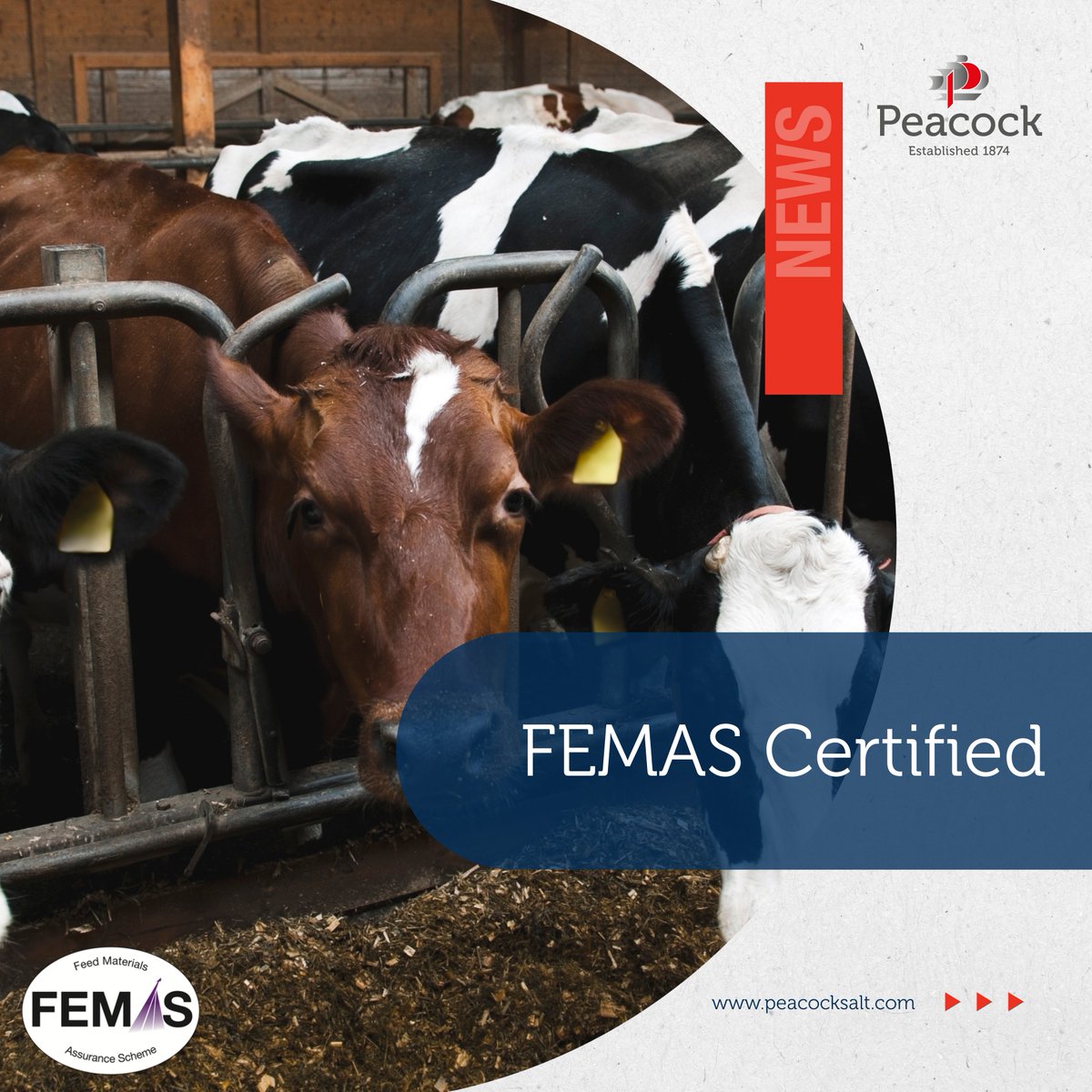 We supply FEMAS-approved animal feed salt, giving you confidence in quality, traceability, and compliance with industry standards. Whether you're a mill, merchant, or farm shop, our products are ready to support your feed formulations with certification to back it up.