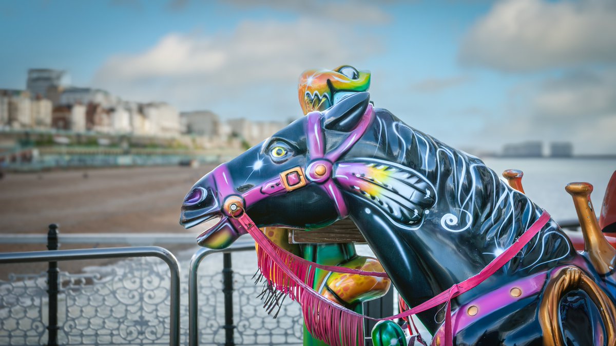 #AlphabetChallenge #WeekZforZoology #ThePhotoHour #Nikon