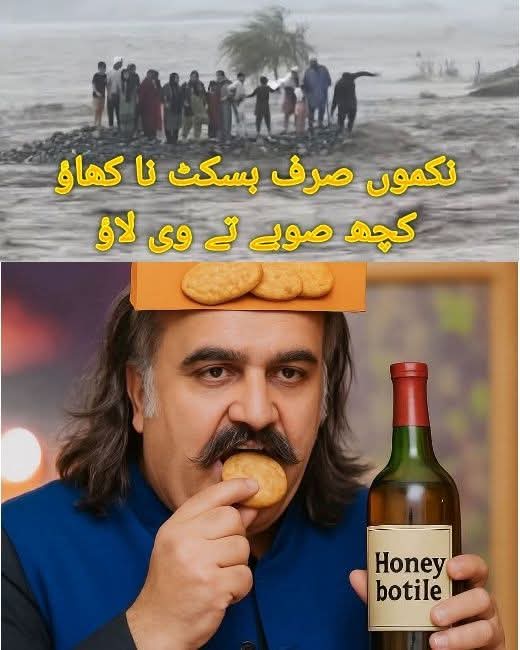 #نکموں_صرف__بسکٹ__نا__کھاؤ_
#کچھ__صوبے__تے_وی__لاؤ