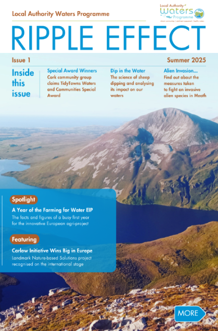 WaterWicklow's tweet photo. Great article on sheep dipping and effects on #waterquality which is especially relevant to the #Wicklow Uplands 

Published in @WatersProgramme new newsletter 'Ripple Effect' 

See the first full edition at https://t.co/M8UB12iQXI

#yourcouncilday #protectourwater https://t.co/SdPxGDCgnn