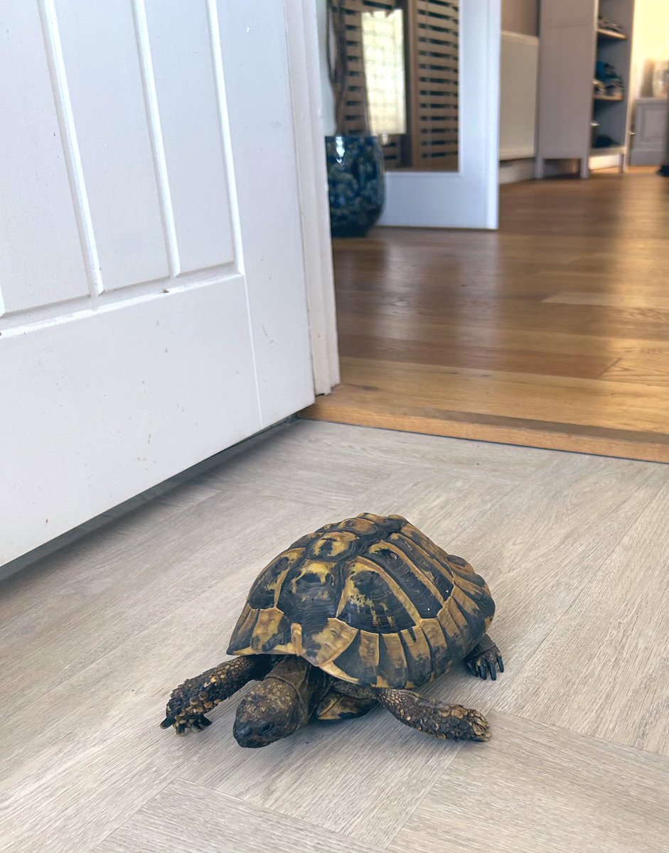 Will Carver tweet media