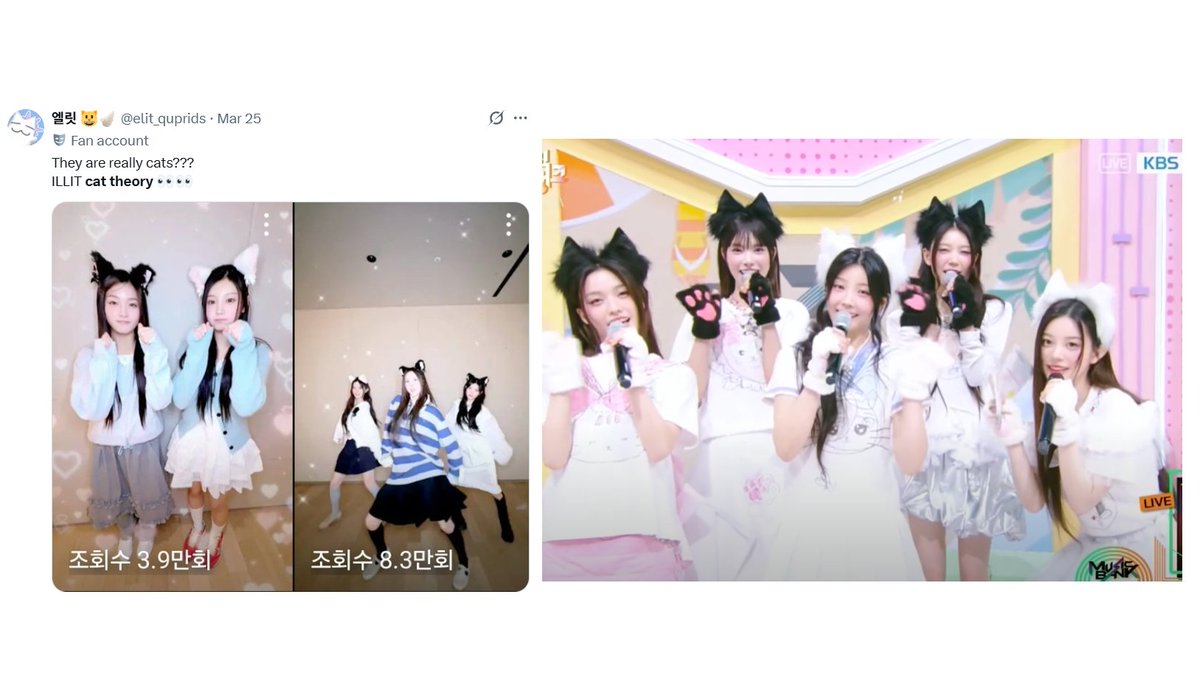 ILLIT cat theory proven ✅✅✅