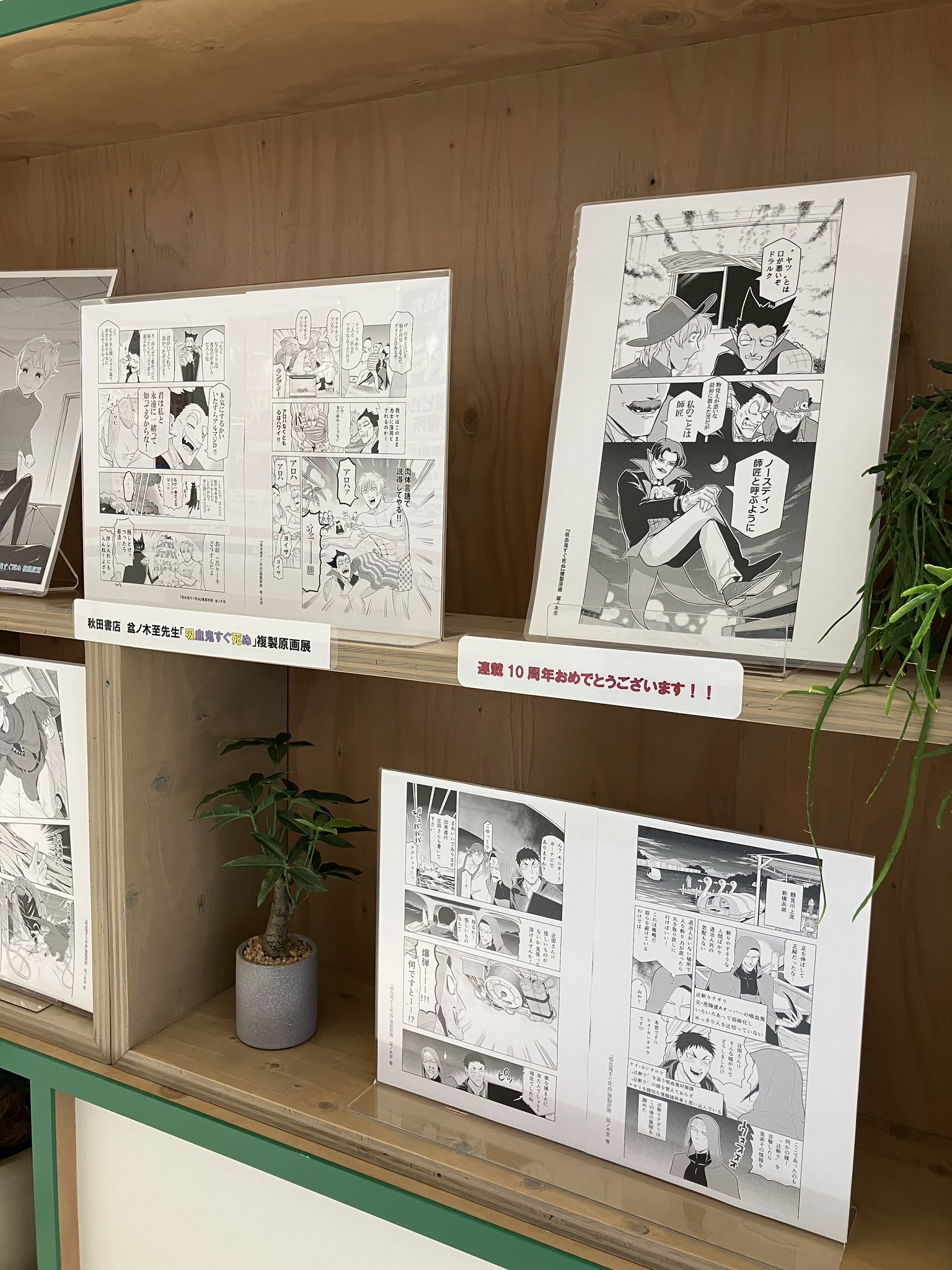 吸血鬼すぐ死ぬ展 開催記念くじ A賞 アクリルプレート ドラルク 吸血鬼すぐ死ぬ展 開催記念くじ A賞 アクリルプレート ドラルク