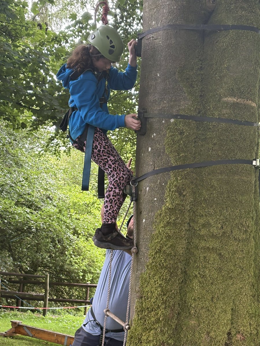 Cheddar Grove P.S tweet media