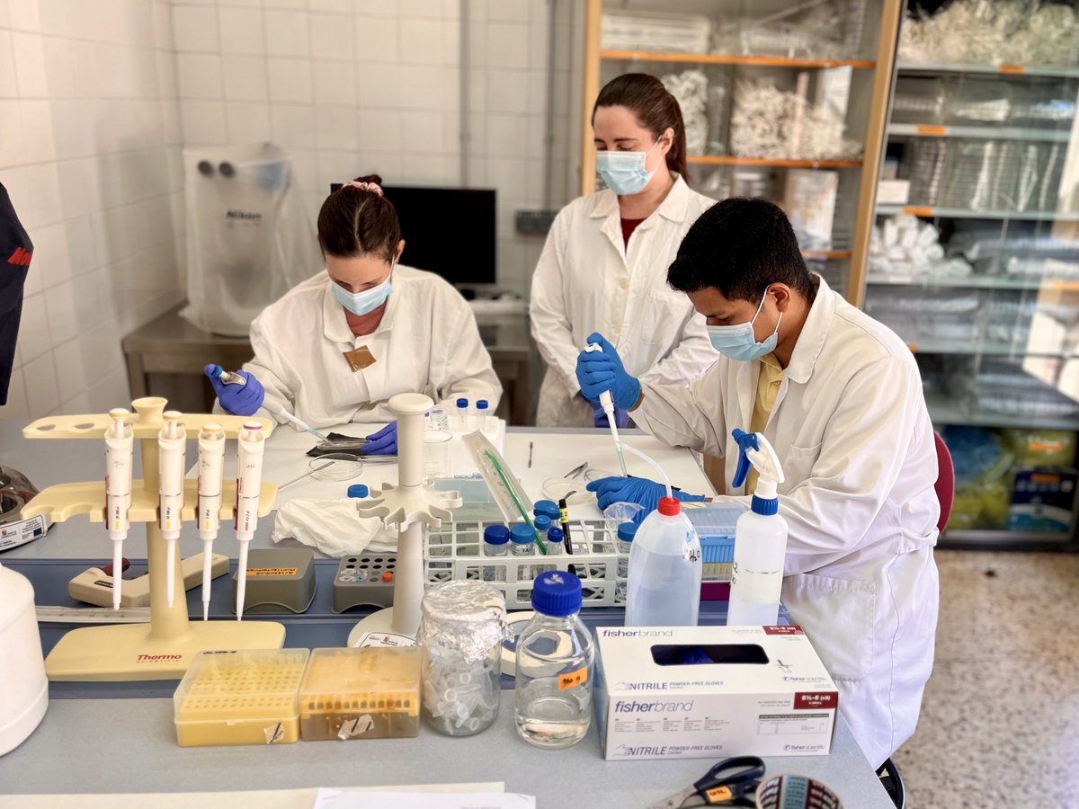 ¡Es hora de excitar metacercarias! 🔬 Alicia, María y Eddier, manos a la obra para obtener vermes juveniles de Fasciola hepatica 🦠 para nuestros próximos experimentos en los proyectos URANUS y PERSEUS <a href="/CienciaGob/">Ministerio de Ciencia, Innovación y Universidades</a> <a href="/AgEInves/">Agencia Estatal de Investigación</a>