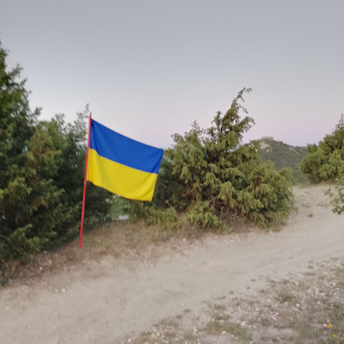 RoksolanaKrim's tweet photo. Севастополь
Без надії сподіваючись https://t.co/wfhVOni6YT