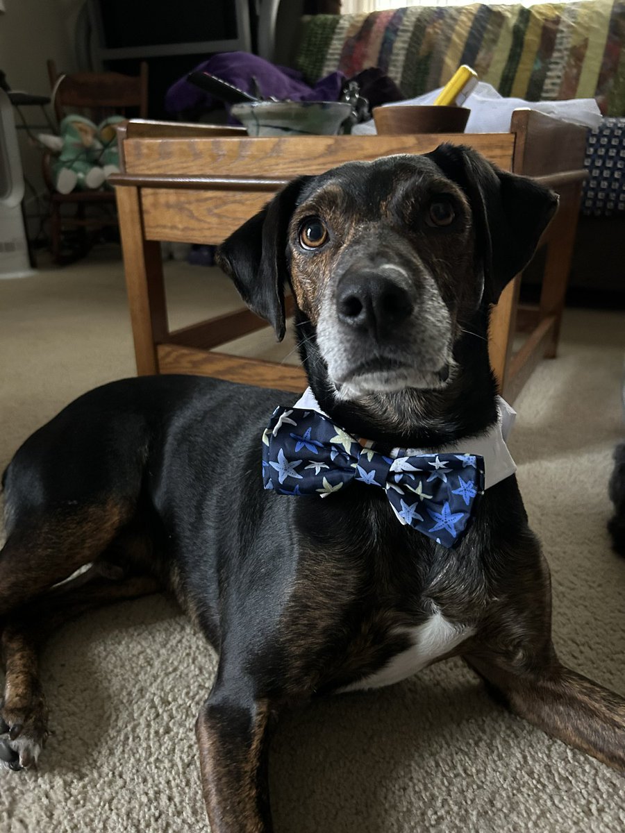 Hope you have a happy day 😁🩵
#FridayVibes