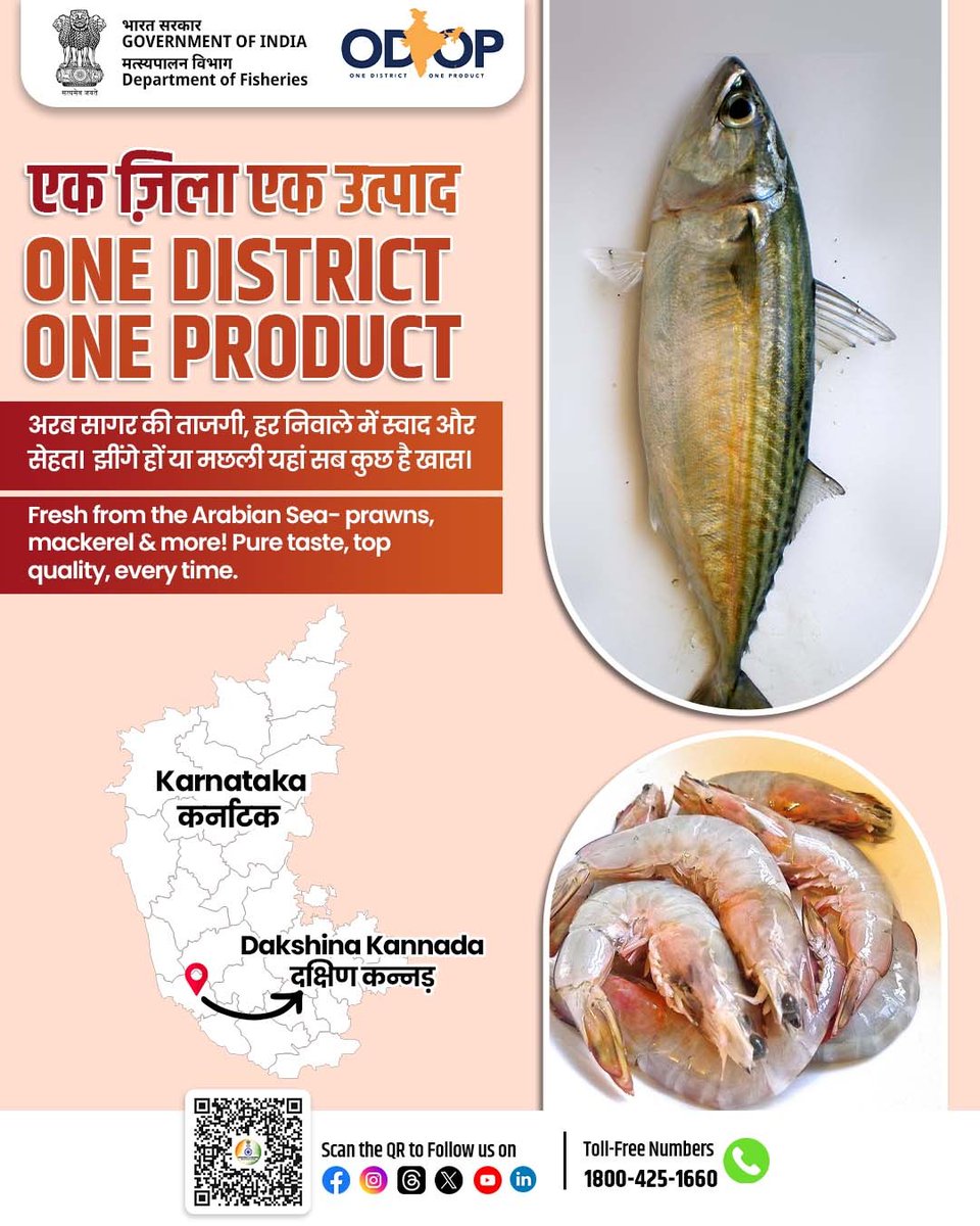 Department of Fisheries, Min of FAH&D (@fisheriesgoi) on Twitter photo рдПрдХ рдЬрд┐рд▓рд╛ рдПрдХ рдЙрддреНрдкрд╛рдж- рджрдХреНрд╖рд┐рдг рдХрдиреНрдирдбрд╝, рдХрд░реНрдирд╛рдЯрдХ
рдЕрд░рдм рд╕рд╛рдЧрд░ рдХреА рддрд╛рдЬрдЧреА, рд╣рд░ рдирд┐рд╡рд╛рд▓реЗ рдореЗрдВ рд╕реНрд╡рд╛рдж рдФрд░ рд╕реЗрд╣рддред рдЭреАрдВрдЧреЗ рд╣реЛрдВ рдпрд╛ рдордЫрд▓реА тАУ рдпрд╣рд╛рдВ рдХрд╛ рд╣рд░ рд╕рдореБрджреНрд░реА рд╕реНрд╡рд╛рдж рд╣реИ рдЦрд╛рд╕ред
One District One Product: Dakshina Kannada, Karnataka
Straight from the Arabian Sea fresh prawns, mackerel & more. Pure taste, rich рдПрдХ рдЬрд┐рд▓рд╛ рдПрдХ рдЙрддреНрдкрд╛рдж- рджрдХреНрд╖рд┐рдг рдХрдиреНрдирдбрд╝, рдХрд░реНрдирд╛рдЯрдХ
рдЕрд░рдм рд╕рд╛рдЧрд░ рдХреА рддрд╛рдЬрдЧреА, рд╣рд░ рдирд┐рд╡рд╛рд▓реЗ рдореЗрдВ рд╕реНрд╡рд╛рдж рдФрд░ рд╕реЗрд╣рддред рдЭреАрдВрдЧреЗ рд╣реЛрдВ рдпрд╛ рдордЫрд▓реА тАУ рдпрд╣рд╛рдВ рдХрд╛ рд╣рд░ рд╕рдореБрджреНрд░реА рд╕реНрд╡рд╛рдж рд╣реИ рдЦрд╛рд╕ред
One District One Product: Dakshina Kannada, Karnataka
Straight from the Arabian Sea fresh prawns, mackerel & more. Pure taste, rich