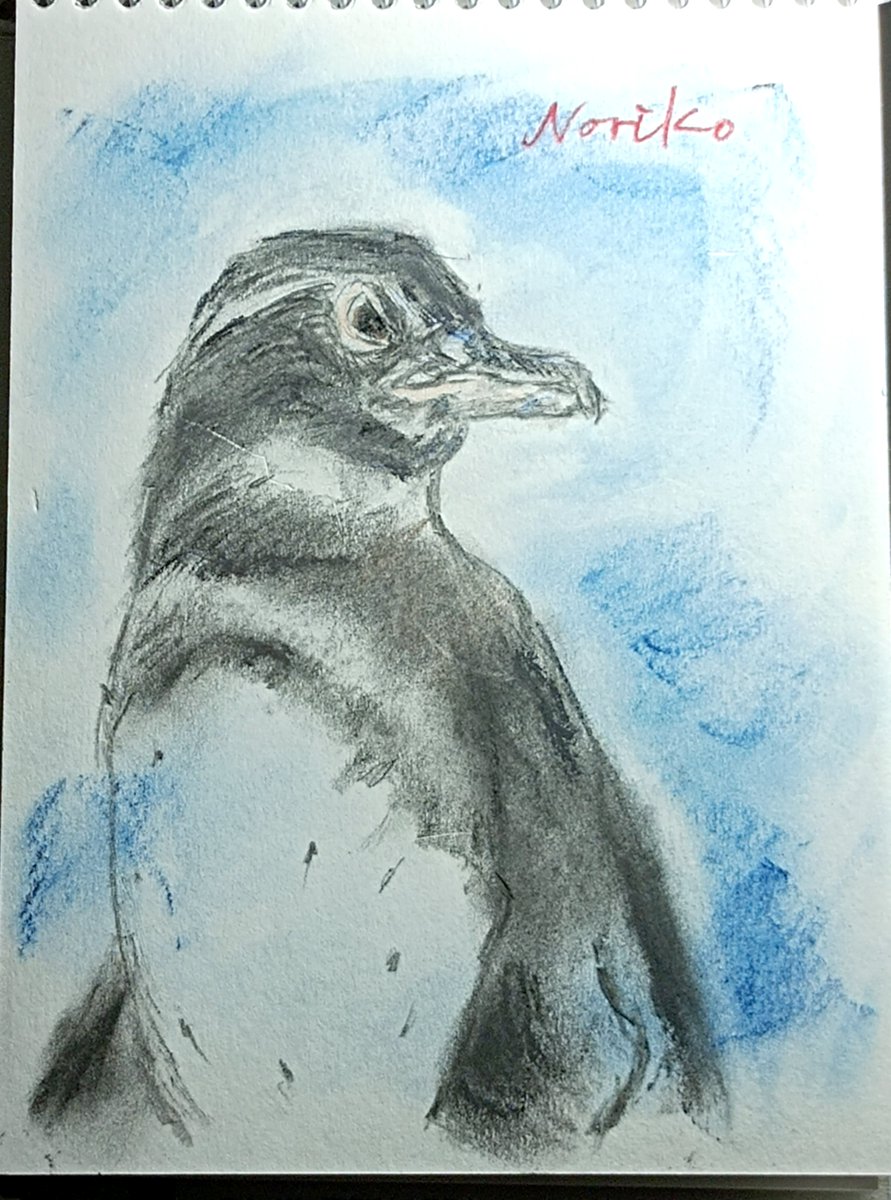 noriko (@n_rockhopper) on Twitter photo #しり鳥
「が」で始まるのは ガラパゴスペンギン
ガラパゴス諸島に生息。
フンボルト、ケープ、マゼランと同じスフェニスカス属。
溶岩石の隙間などで営巣。
他種のペンギンと同様に、生息環境悪化や個体数の減少が心配。
お次は~
のこのこさん <a href="/nokonokofelt/">のこのこ(クリマありがとう)</a>
「す」ではじまる鳥さんをお願い🐤🐤 #しり鳥
「が」で始まるのは ガラパゴスペンギン
ガラパゴス諸島に生息。
フンボルト、ケープ、マゼランと同じスフェニスカス属。
溶岩石の隙間などで営巣。
他種のペンギンと同様に、生息環境悪化や個体数の減少が心配。
お次は~
のこのこさん <a href="/nokonokofelt/">のこのこ(クリマありがとう)</a>
「す」ではじまる鳥さんをお願い🐤🐤