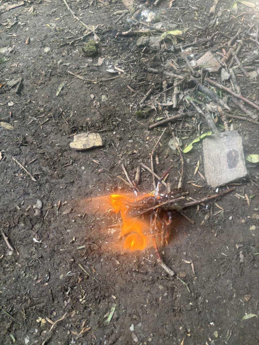 Cheddar Grove P.S tweet media