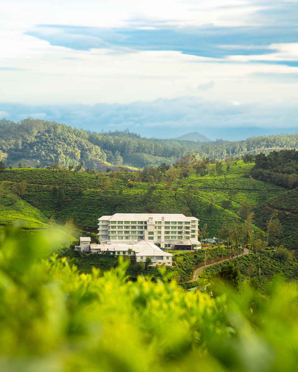 Start your morning where history, hospitality, and heritage converge.

At Heritance Tea Factory, every sunrise brings a unique opportunity to explore Sri Lanka’s iconic hill country – with the Pekoe Trail running right through our estate. Step out from the comfort of a restored