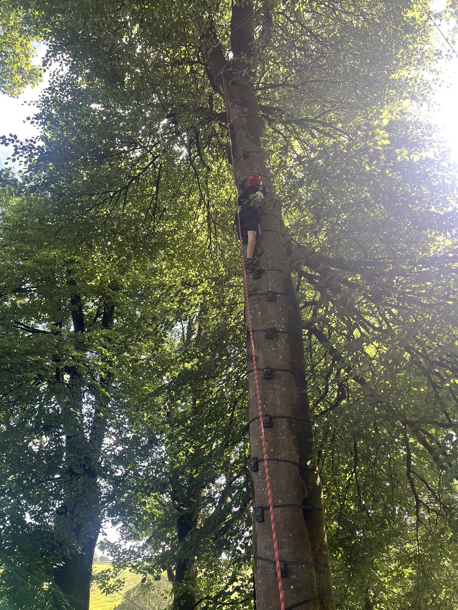 Cheddar Grove P.S tweet media