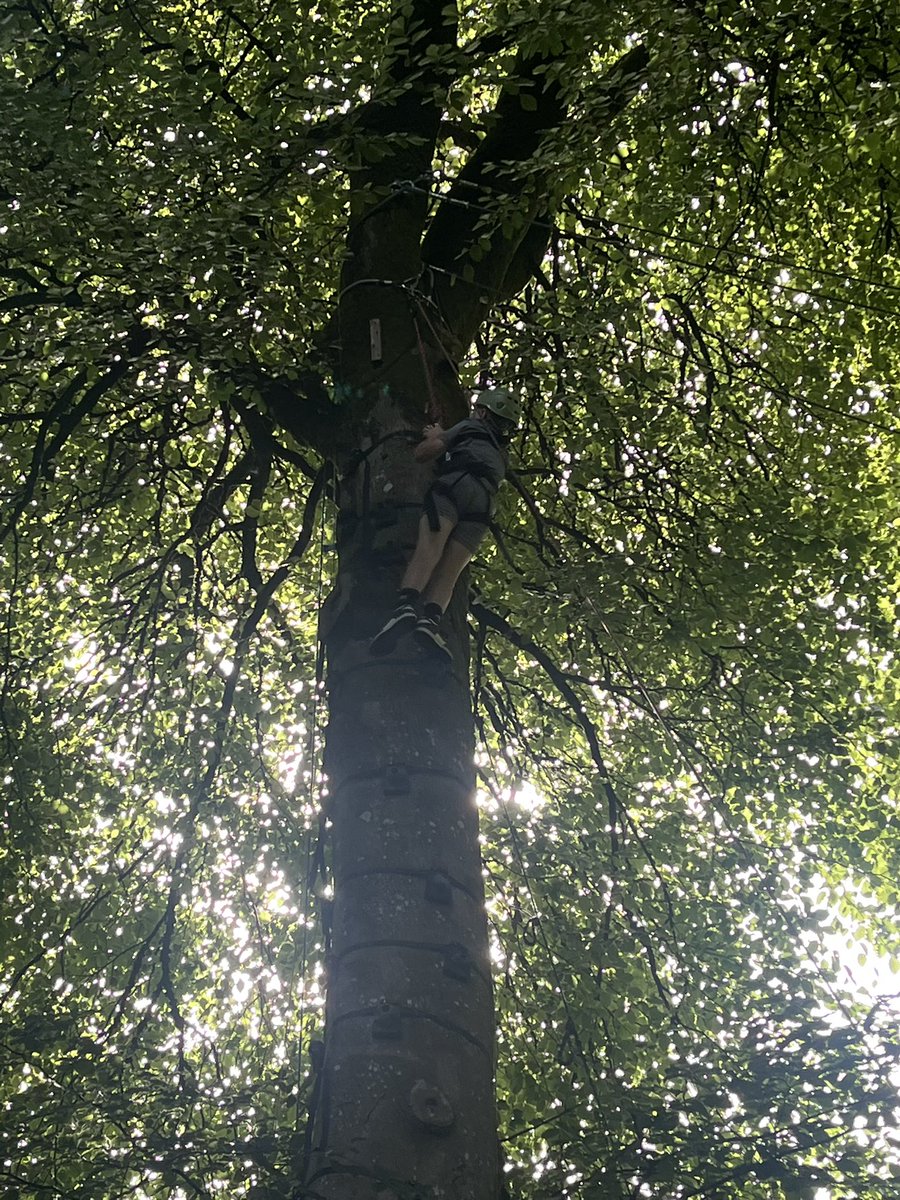 Cheddar Grove P.S tweet media